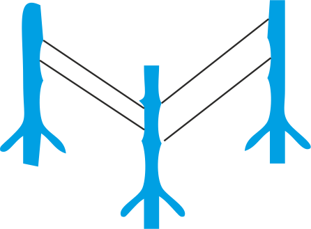 Land Demarcation Icon